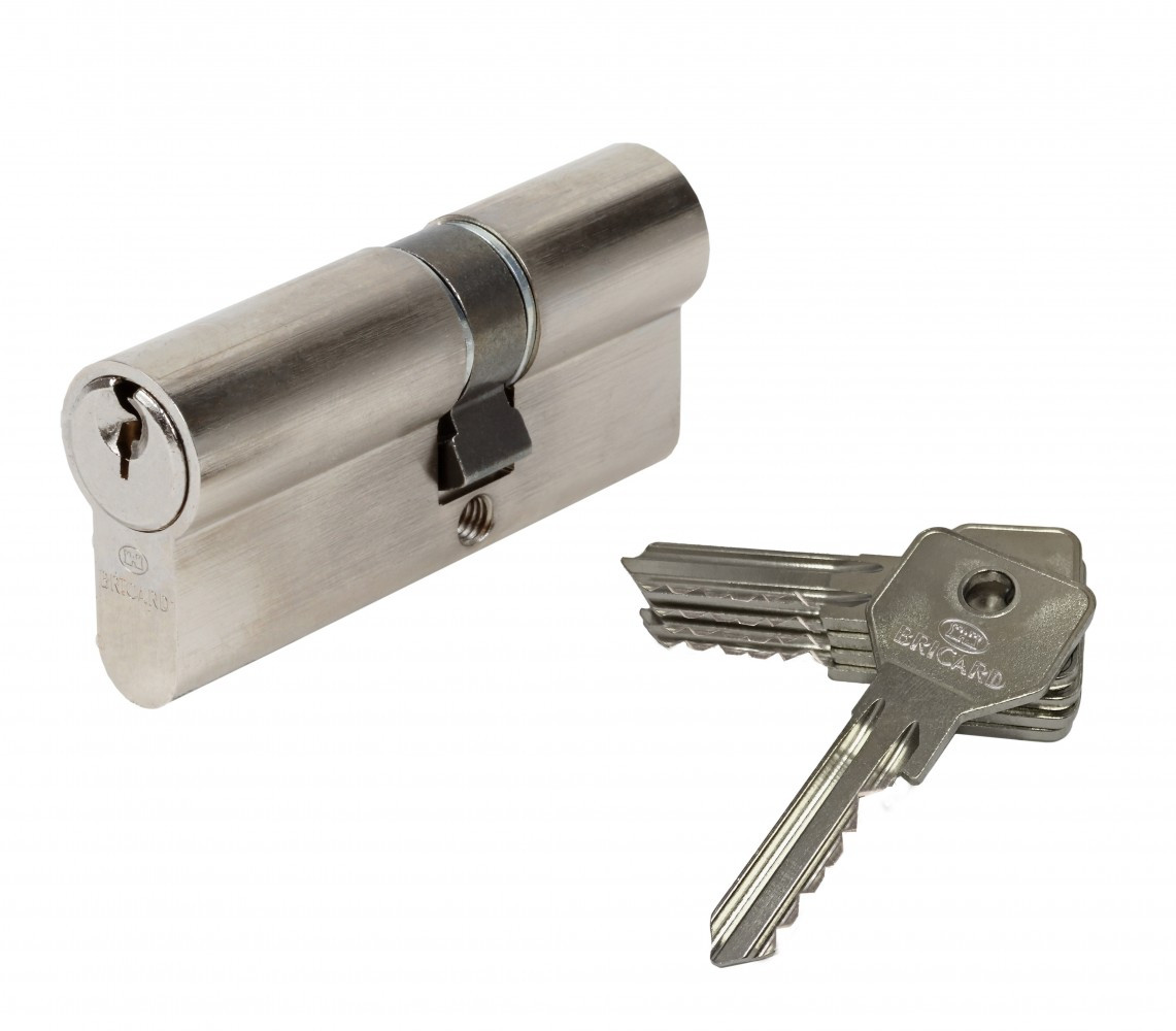 Cylindre de serrure BRICARD alpha débrayable L.30 + 40 mm