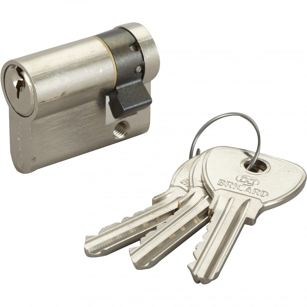 Cylindre de serrure BRICARD alpha L.30 + 10 mm