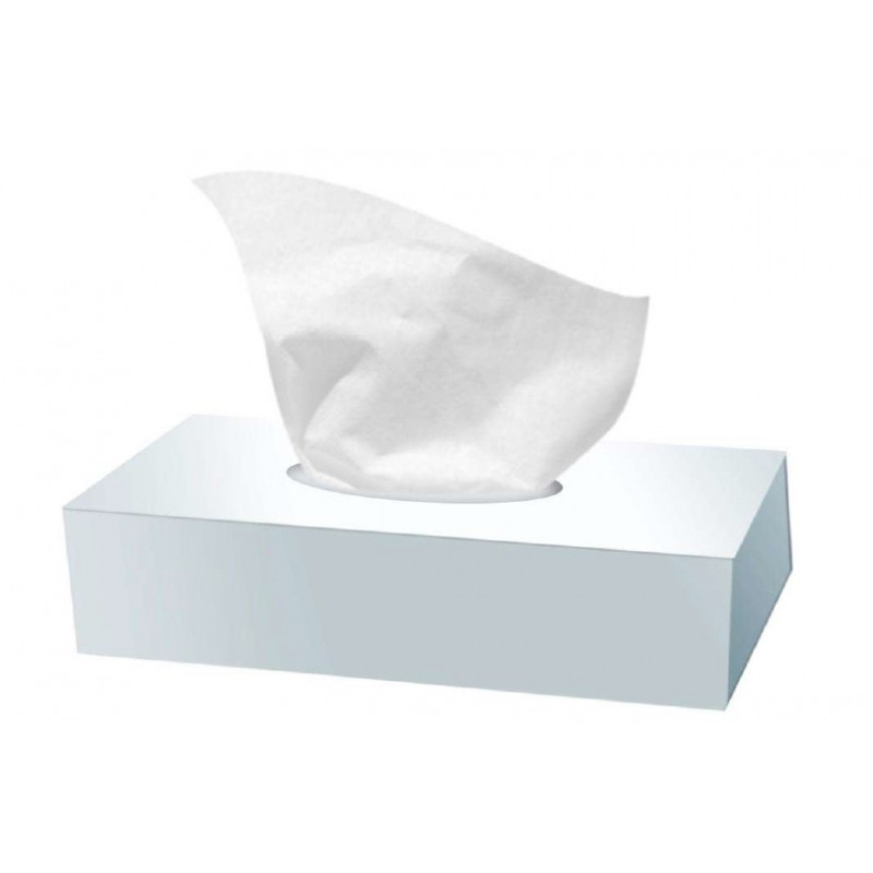 Carton de 40 boîtes de 100 mouchoirs Ecolabel en ouate de cellulose blanc à 2 plis 643728