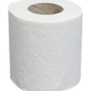 Carton de 48 rouleaux de papier hygiéniques blancs à 2 plis 200 feuilles 100 x 98 mm GLOBAL NET 670290