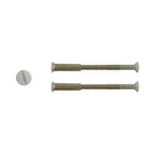 Lot De 2 Vis Acier Laqué, L.4.5 X L.0.7