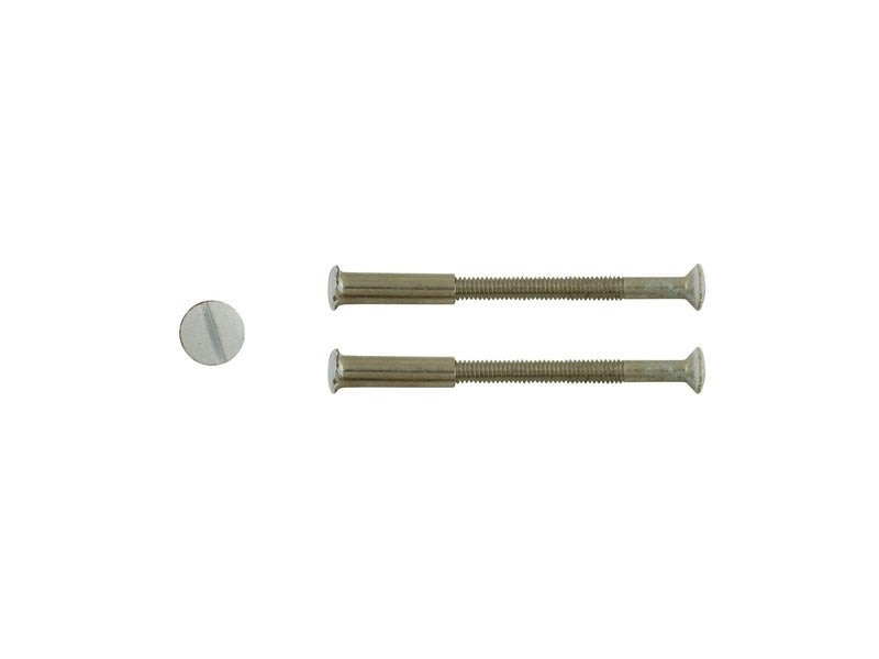 Lot De 2 Vis Acier Laqué, L.4.5 X L.0.7