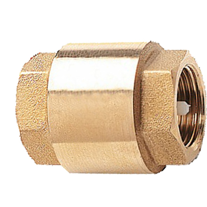 Clapet de retenue universel 1 1/4 10 bars 105-33