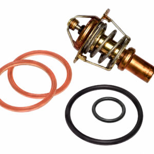 Clapet thermostatique 47° chauffage seul + joints (B) FRISQUET F3AA40088