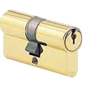 Cylindre à double entrée C2000 30 X 30 mm laiton poli clé sur numero P1 BC1534 CISA 831007-01-0ASN