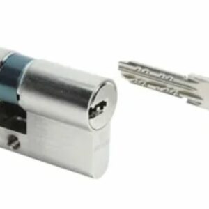 Cylindre double entrée SERIAL nickelé A2P* longueur 60 = 30 + 30 mm série 8161 BRICARD 4315070