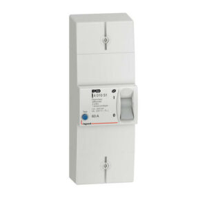 Disjoncteur de branchement BACO bipolaire différentiel 500 mA instantané 60 A non réglable LEGRAND 401051