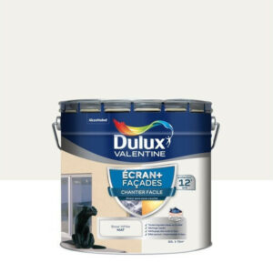 Peinture extérieure façade Ecran+ DULUX VALENTINE blanc bw mat 10l