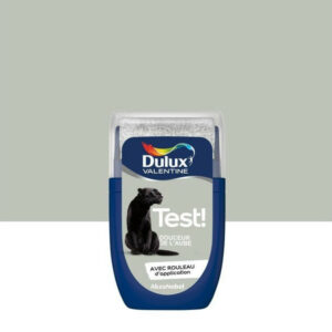 Testeur Peinture Douceur De L'Aube Satiné Crème De Couleur Dulux Valentine 30 Ml