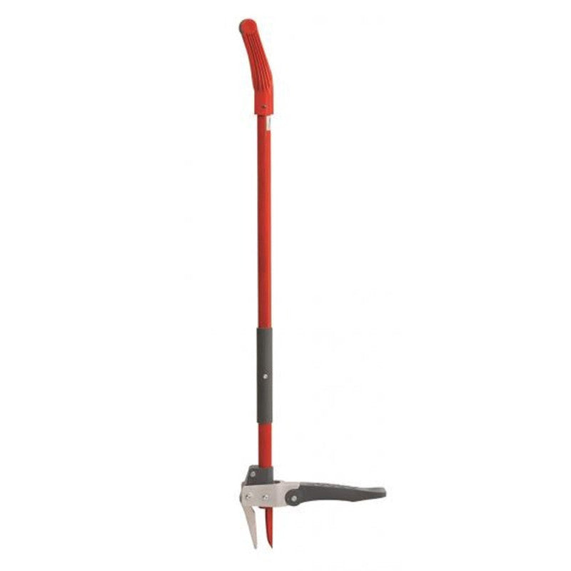 Echardonnoir désherbeur OUTILS WOLF IWA