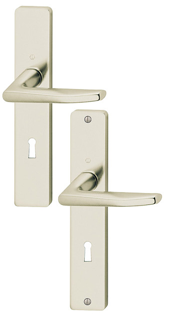 Ensemble fondue Zürich clé L F2 HOPPE 528394