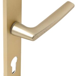 Ensemble Riv-Junior type clé I finition champagne VACHETTE 014406