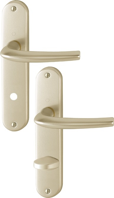 Ensemble San Diego grand model type à condamnation finition F2 alu aspect champagne HOPPE 3559811