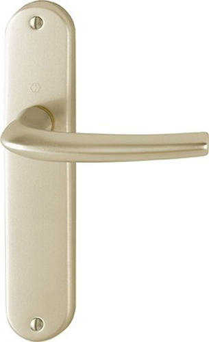 Ensemble San Diego grand model type bec de cane finition F2 alu aspect champagne HOPPE 3559758