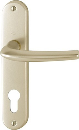 Ensemble San Diego grand model type clé I pour cylindre européen finition F2 alu aspect champagne HOPPE 3559791