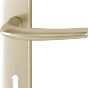 Ensemble San Diego grand model type clé L finition F2 alu aspect champagne HOPPE 3559774