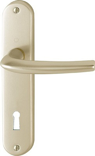Ensemble San Diego grand model type clé L finition F2 alu aspect champagne HOPPE 3559774
