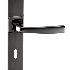 Ensemble sur grande plaque MUZE type clé L finition diamant noir VACHETTE 086434