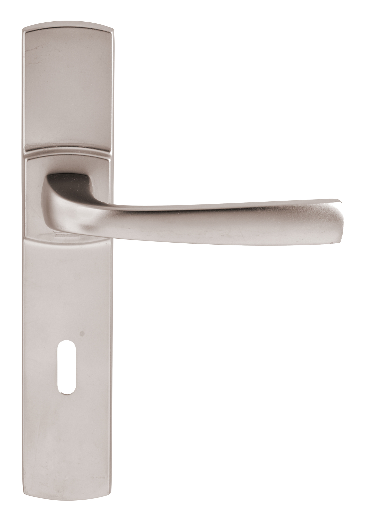 Ensemble sur grande plaque MUZE type clé L finition platine VACHETTE 086425