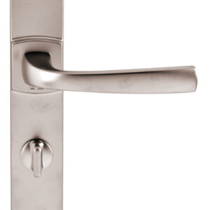 Ensemble sur grande plaque MUZE type condamnation finition platine VACHETTE 086427