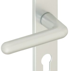 Ensemble sur plaques GOLF type CLE I finition argent VACHETTE 012080