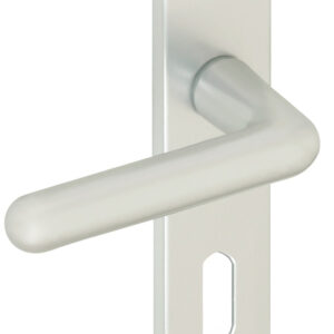 Ensemble sur plaques GOLF type CLE L finition argent VACHETTE 012079