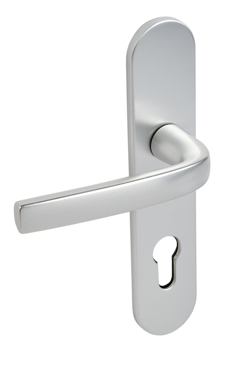 Ensemble sur plaques Logio entraxe 195 mm type CLE I finition argent VACHETTE 200666