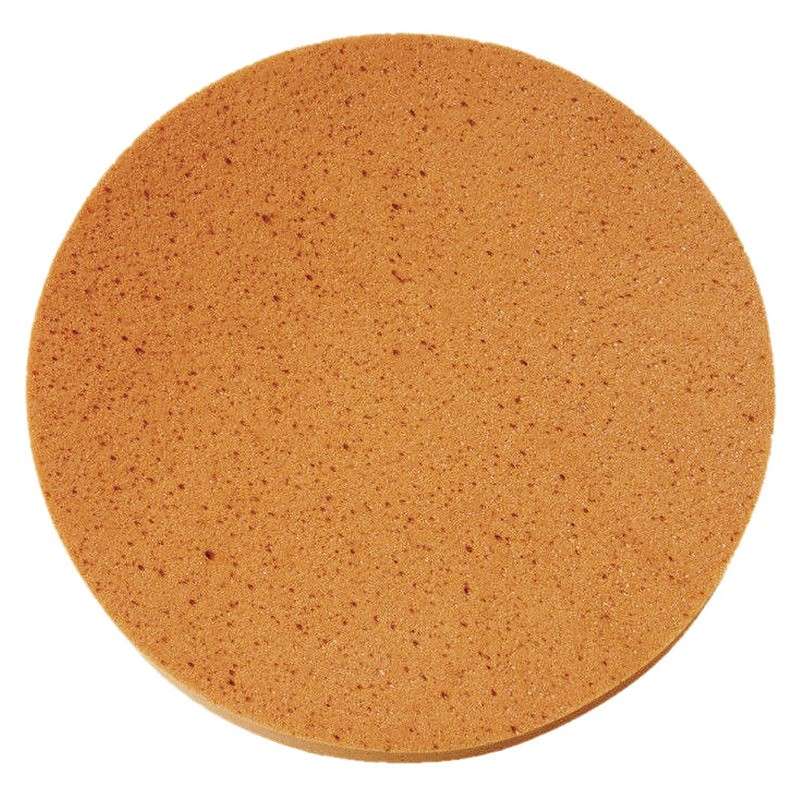 Eponge DIAM CB-37722 pour Talocheuse EPG400 et EPG400WP