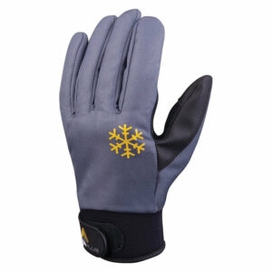 Gants hiver Borok DELTA PLUS VV903