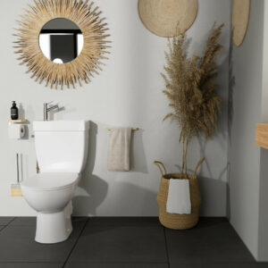 WC a poser sans bride sortie horizontale duo manille 3/6 litre godart