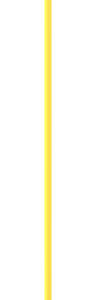 Grattoir 30 cm manche télescopique 2 - 3,50 m Nanovib LEBORGNE 142309