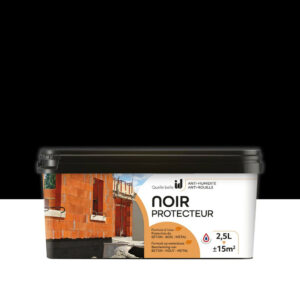 Revêtement d'étanchéité Noir Protecteur, LAKEONE, noir 2.5 litres