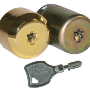 Jeu de cylindre CAVITH CAVERS pour serrure cambrée A2P3 ISEO 56300061