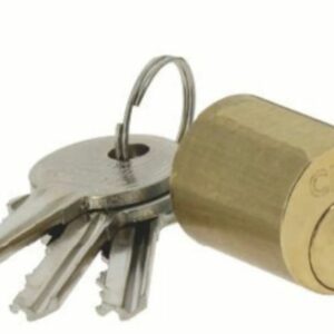 Jeu de cylindre pour verrou CITY laiton poli 50 mm ISEO 56330501.5