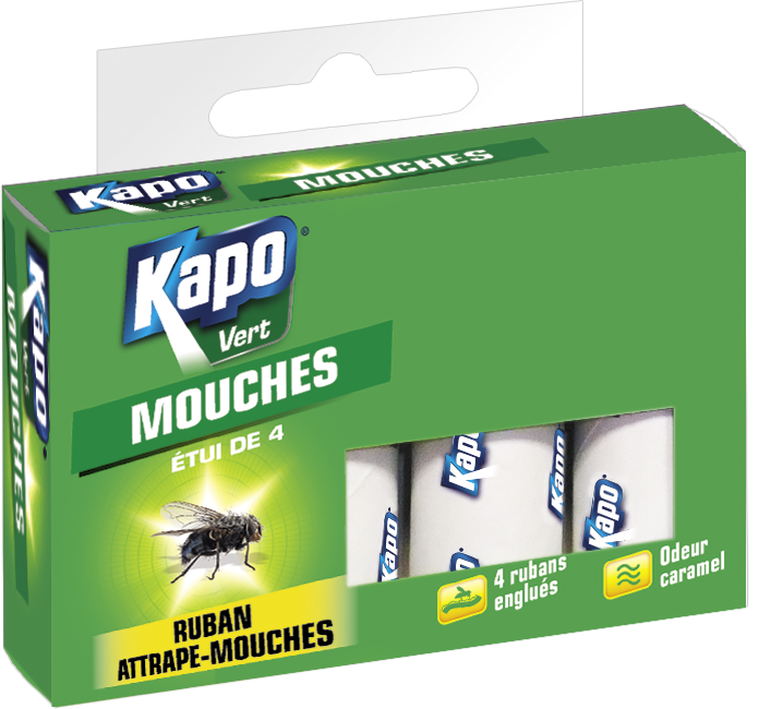 Ruban attrape mouche, adhésif, Lot de 4 KAPO VERT
