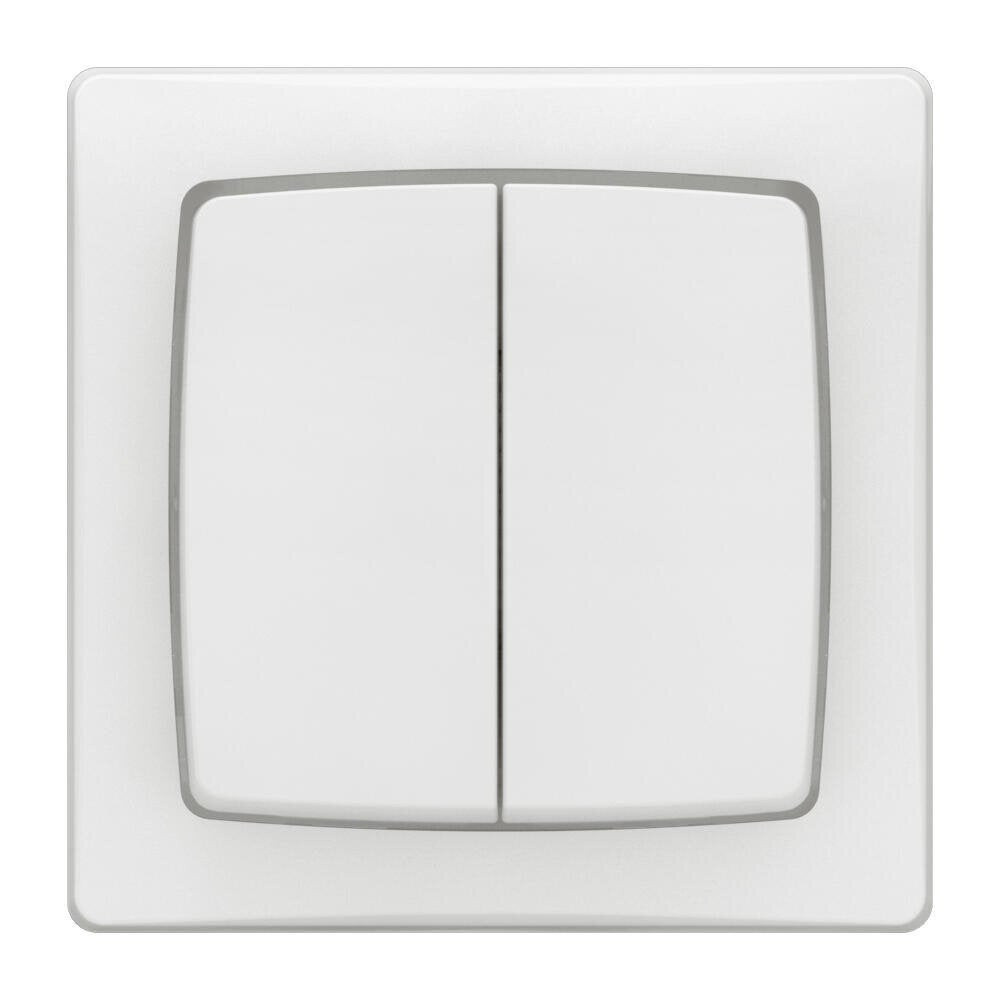 Double interrupteur va-et-vient saillie complet, LEGRAND Asl, blanc
