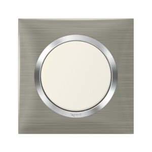 Plaque simple Dooxie, LEGRAND, inox brossé