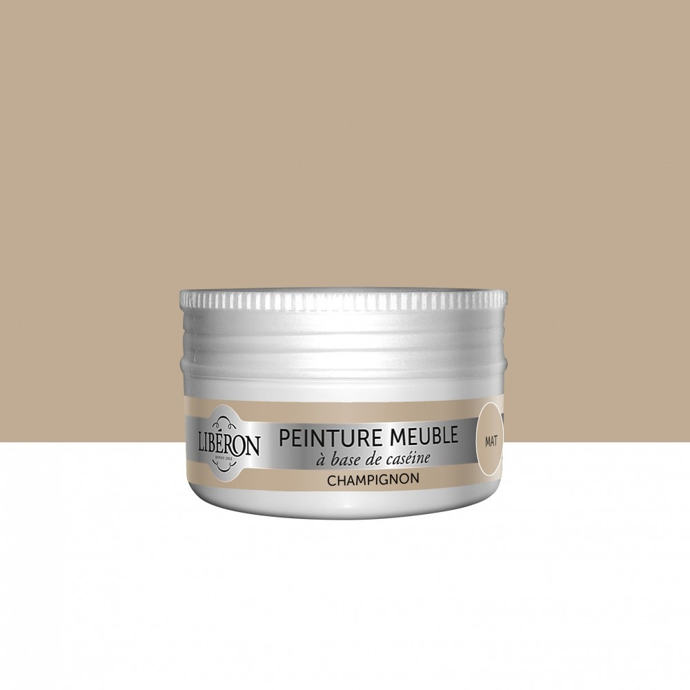 Peinture meuble et boiserie Caséine LIBERON champignon mat 75 ml