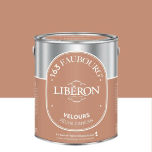 Peinture pêche cancan multisupport 163 faubourg LIBÉRON velours 2.5 l