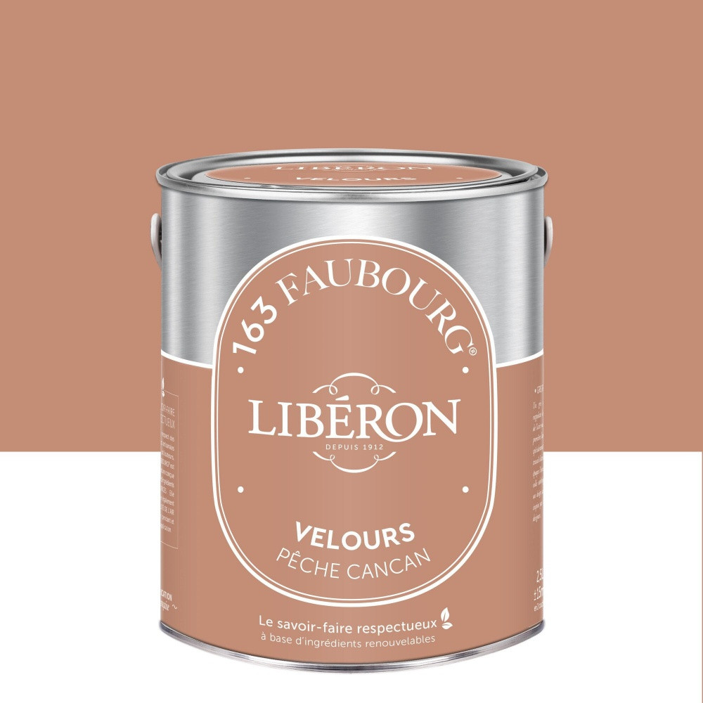 Peinture pêche cancan multisupport 163 faubourg LIBÉRON velours 2.5 l