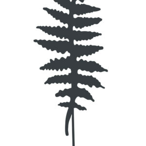 Déco en métal à planter Fougère - 25x70 cm - anthracite