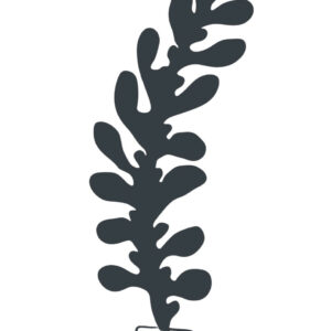 Feuille décorative Eucalyptus anthracite 50,5 x 150 cm - acier époxy - à planter