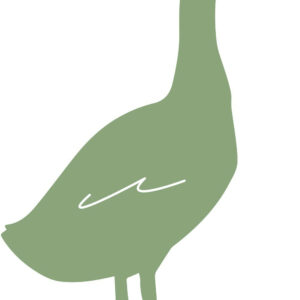 Figurine à piquer Oie - 50x34 cm - vert clair