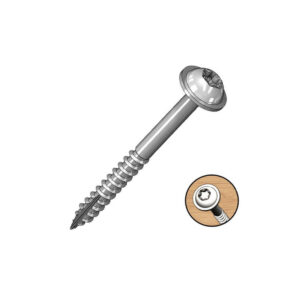 Vis à tête cylindrique avec rondelle 38 mm - T20 - 100 pcs