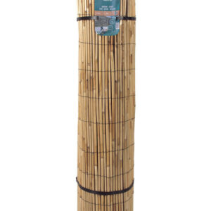 Canisse de roseau diamètre moyen - 1x5m