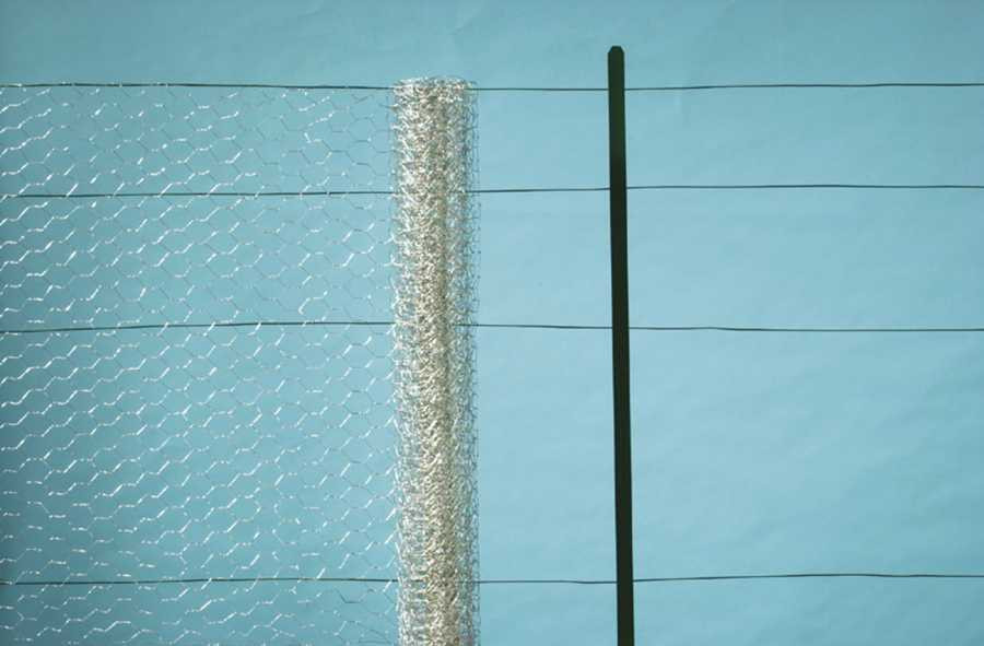 Grillage métal galva triple torsion 2,5cm - 1 x 50 m