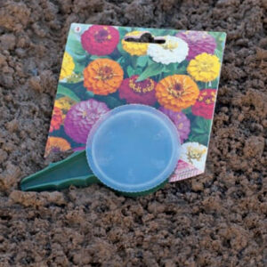 Semoir "Seed" - 6 cm