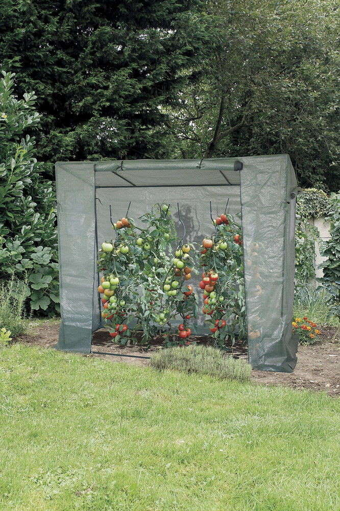 Serre spéciale tomate Tomatillo en film armé PE 140g/m² - l.2 x P.0,77 x H.1,49/1,69 m