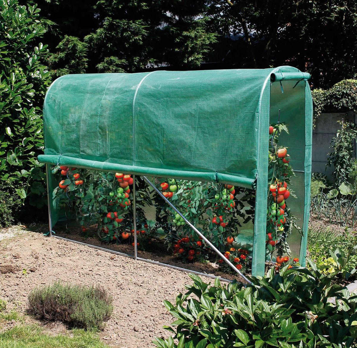 Serre tunnel "Tomato Greenhouse"pour potager - 3 x 1 x 2 m