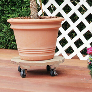 Support à roulettes rond "Flora Roll Autoclave" - 35 cm